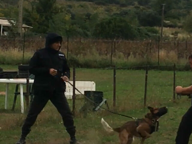 Entrainement frappe musele 2025